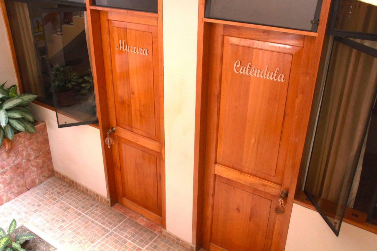 Zygo Bed & Breakfast Tarapoto Ngoại thất bức ảnh